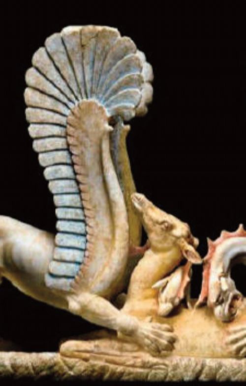 Mostra | Il segreto di marmo: i marmi policromi di Ascoli Satriano al Museo di Palazzo Massimo