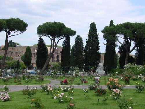 Il Roseto comunale sull’Aventino