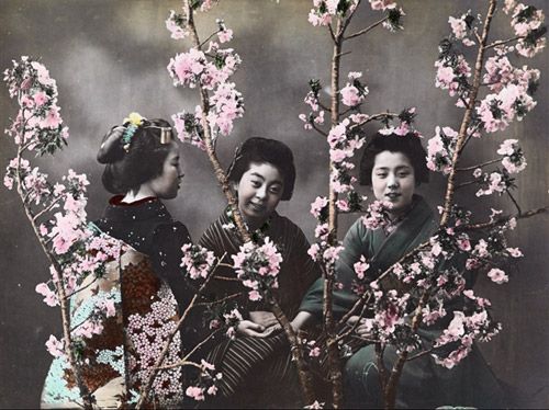 Mostra | National Geographic, 125 anni. La Grande Avventura