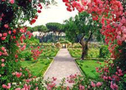 Il Roseto comunale all’Aventino