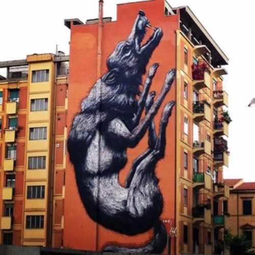Passeggiata | Roman Graffiti: gli artisti di strada