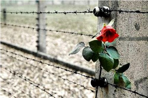 Conferenza | Nel nome della memoria: una giornata particolare