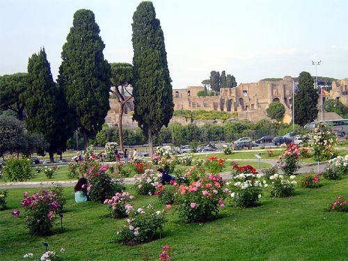 Il Roseto comunale all’’Aventino.  Dal colle della plebe al giardino di Venere