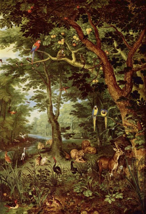 Conferenza di inizio autunno | Il “volto” delle piante. Storie e immagini di metamorfosi e prodigi