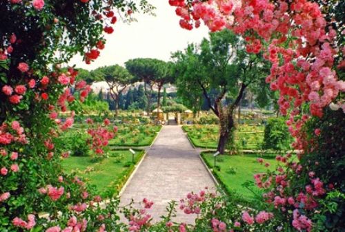 Il Roseto Comunale all’Aventino