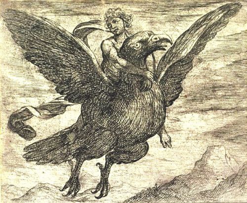 Mostra | Ovidio. Amori, miti e altre storie