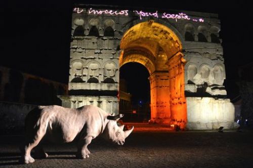 Ultime aperture | “Rhinoceros” e la Fondazione Alda Fendi