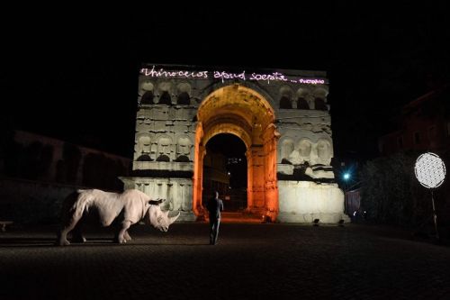 Ultime aperture | “Rhinoceros” e la Fondazione Alda Fendi
