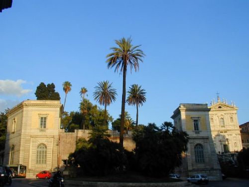 Villa Aldobrandini - Abbracciare gli alberi