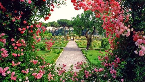 Il Roseto comunale all’Aventino