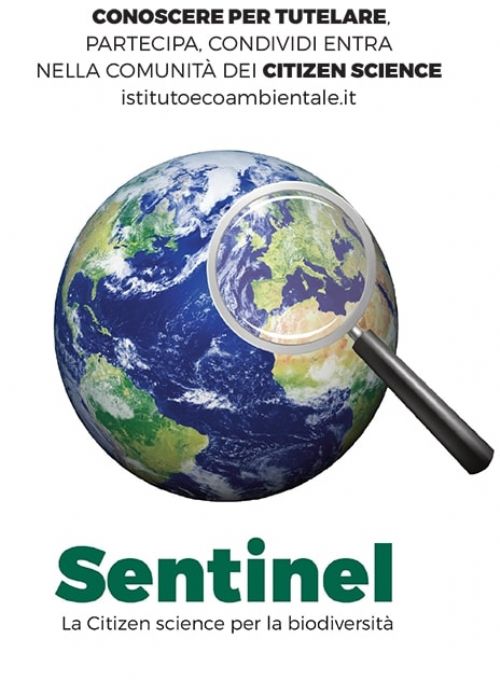 La scienza in piazza