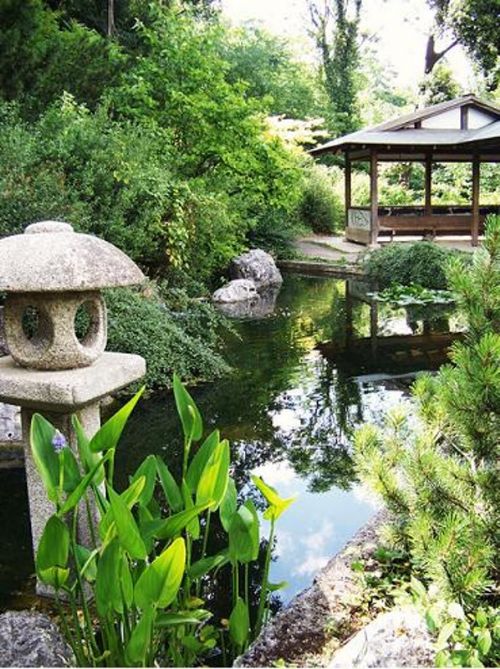 Ai piedi del Gianicolo. L’Orto botanico