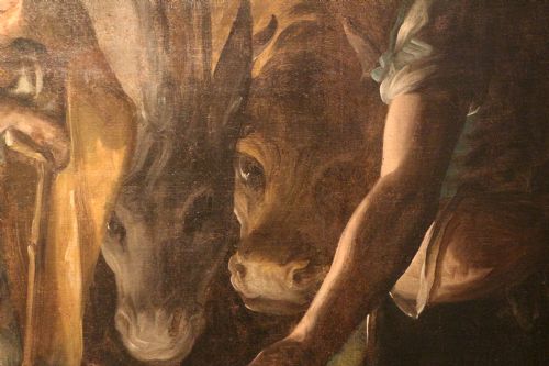 Conferenza di Natale | L’asino e il bue. Viaggio tra gli animali simbolici del Cristianesimo