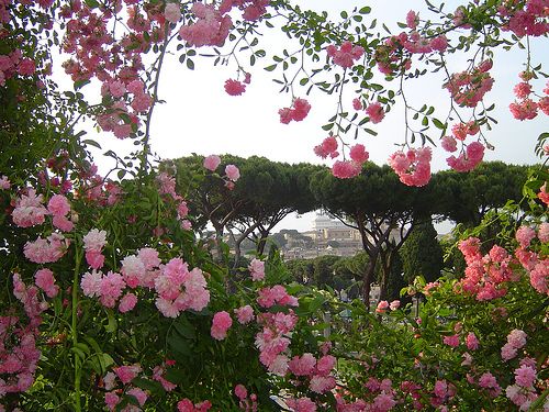 Il Roseto comunale all’Aventino. Dal colle della plebe al giardino di Venere