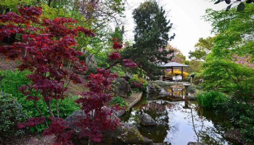 L’Orto botanico. Un’oasi incantata