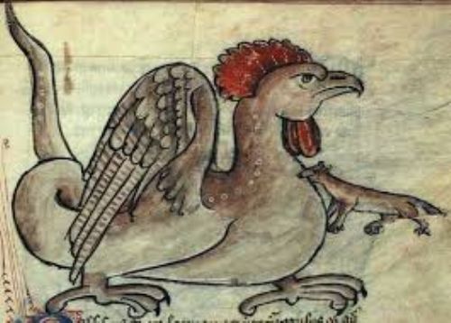 Visite a domicilio | Il Bestiario medievale. Iconografia e simbolismo