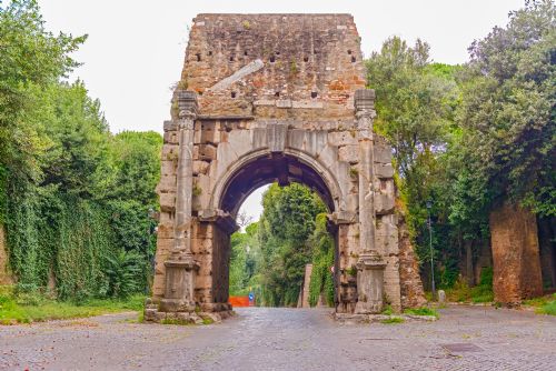 Alberi parlanti: storia e botanica nel centro di Roma