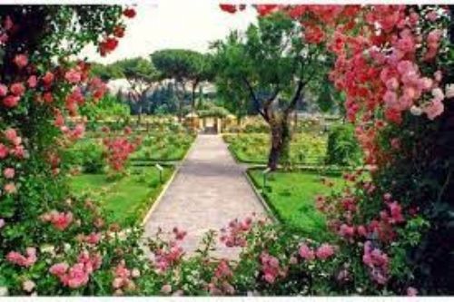 Il Roseto Comunale dell’ Aventino