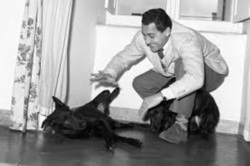 Mostra | Il Centenario – Alberto Sordi 1920 - 2020
