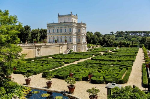 Alberi parlanti: Storia e Botanica a Villa Pamphilj