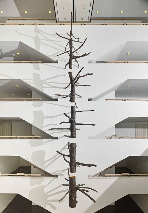 VAD | Giuseppe Penone.  Intreccio di Arte e Natura