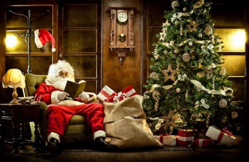 Evento speciale | Un albero adornato di libri