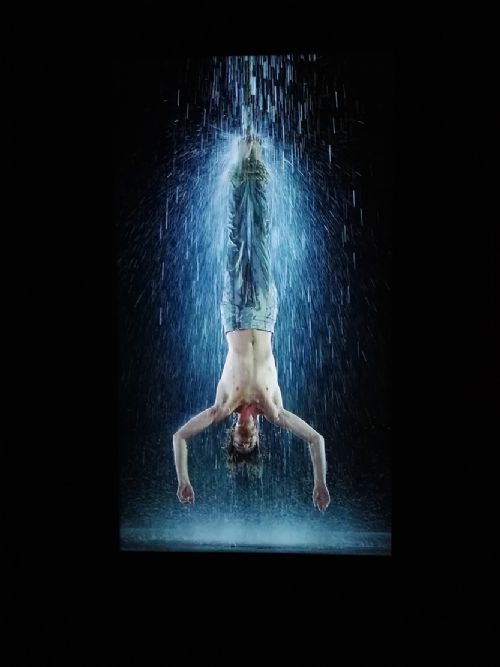 Mostra |  Bill Viola. Icons of lights