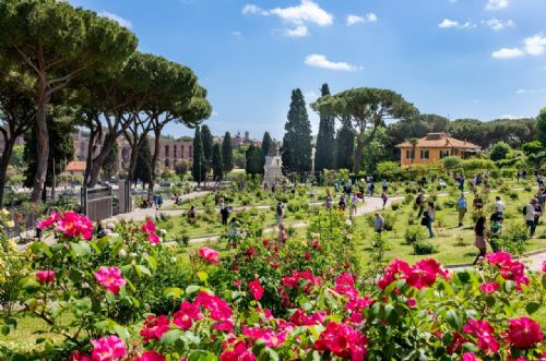 Il Roseto comunale all’Aventino