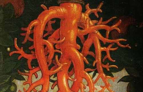 VAD | Il Corallo: magia, simbolimo e moda