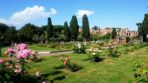 Il Roseto comunale sull’Aventino fiorito: tra Storia, Alberi e Fiori